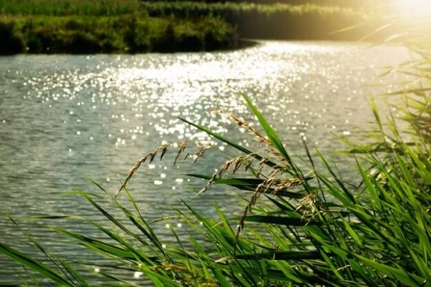 Piscina com Hidro – 4 vantagens que você precisa conhecer