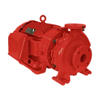 Motobomba Schneider BPI FIT