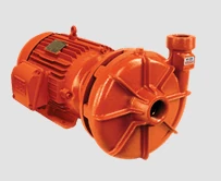 Motobomba Schneider BPI-22